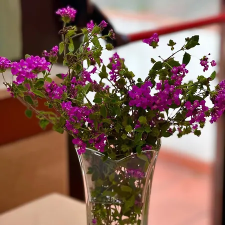 Miramare インペリア